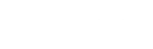 browserleak logo