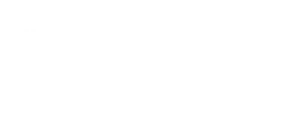 terra lead logo